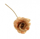 45cm Gold Painted Rose Stem - peach
