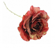 45cm Gold Painted Rose Stem - Red 